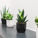 Traumwohnung Im Koelner Sueden Appartamento