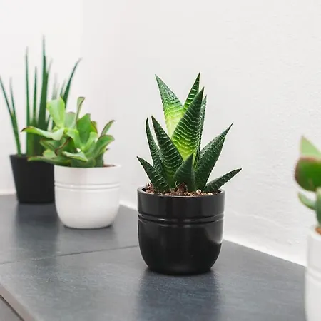 Traumwohnung Im Koelner Sueden Appartement