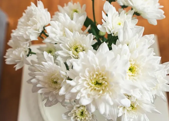 Lejlighed Traumwohnung Im Koelner Sueden *