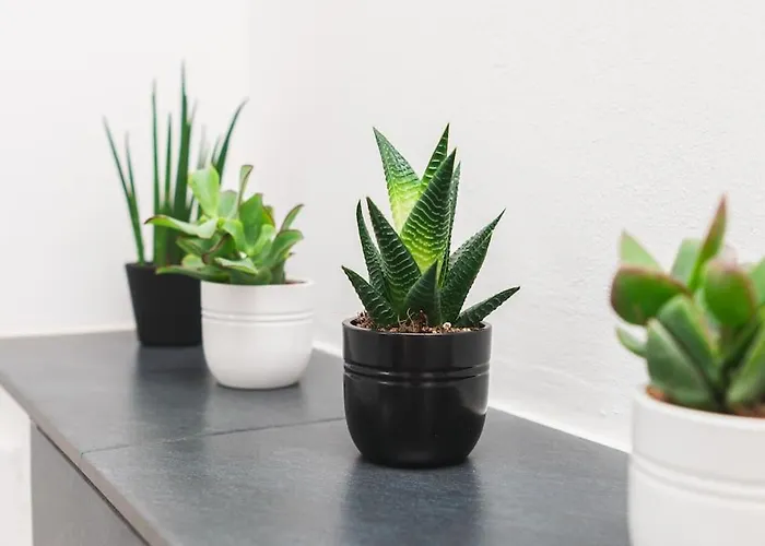 Traumwohnung Im Koelner Sueden Lejlighed